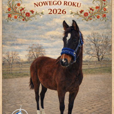 Dziękujemy za 2025 rok